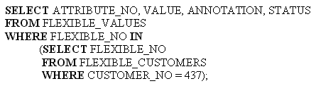 SQL query that retrieves the invalid value in the CUSTOMER relation